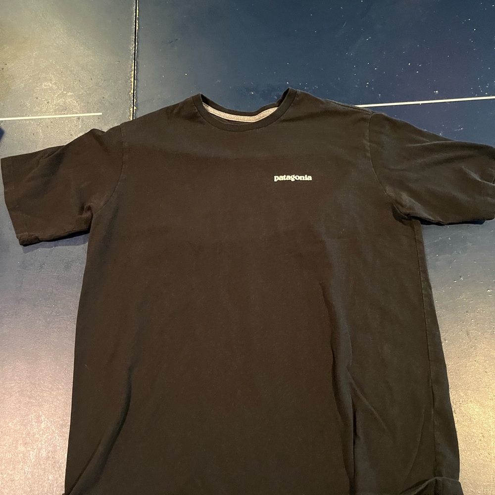 Nice Patagonia shirt